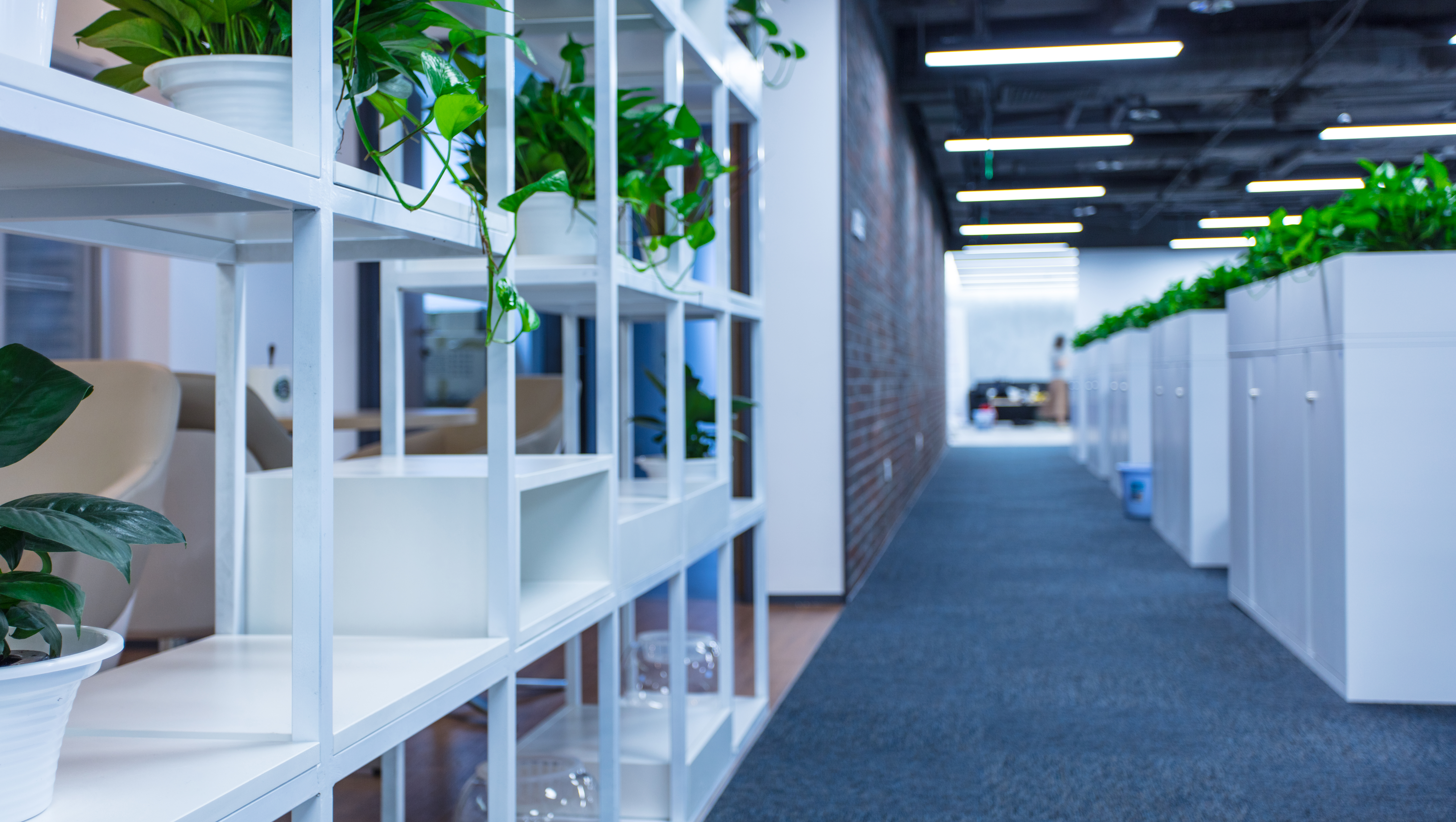 Moderner Büroinnenkorridor mit Grünpflanzen