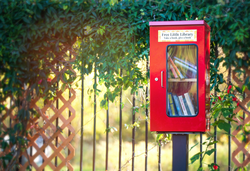 Red Little Free Library Box in einem ruhigen Nachbarschaftspark, umgeben von wunderschöner Natur